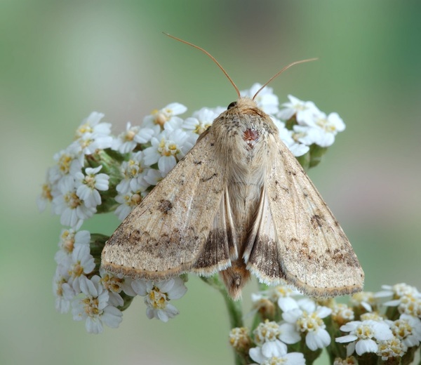 2024060616616458.jpeg 10.jpeg