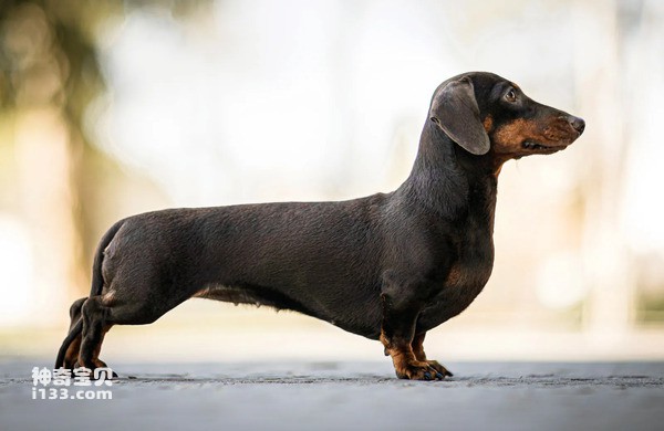 2024060618854442.jpg 7.jpg