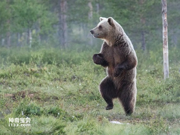 2024060627606662.jpg 3.jpg