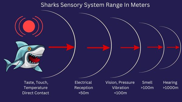 2024060635440610.jpeg 22.jpeg