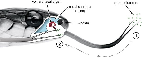 2024060661527545.jpeg 88.jpeg