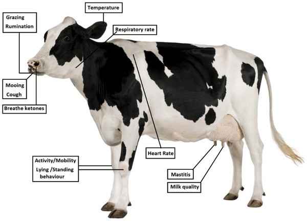 2024060677861364.jpg 99.jpg