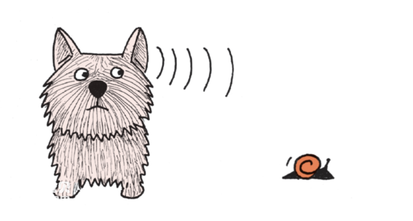 2024061814610786.png 1010.png