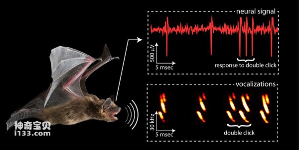 2024061819008369.jpg 2.jpg