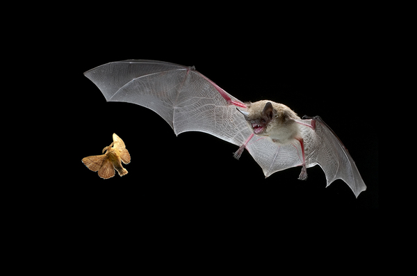 2024061863083179.jpeg 1.jpeg