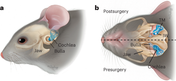 2024061878480028.png 55.png