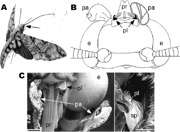 2024061890591448.png 11.png