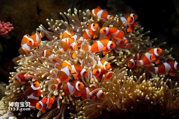 2024062710694201.jpg 2.jpg