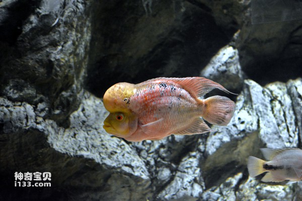 2024062714300539.jpg 9.jpg