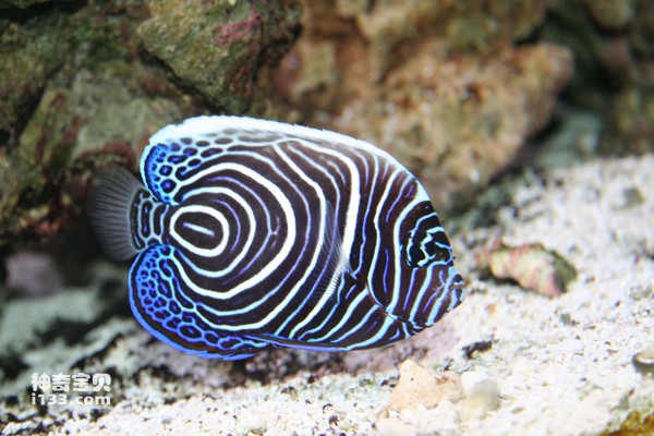 2024062718255982.jpg 8.jpg