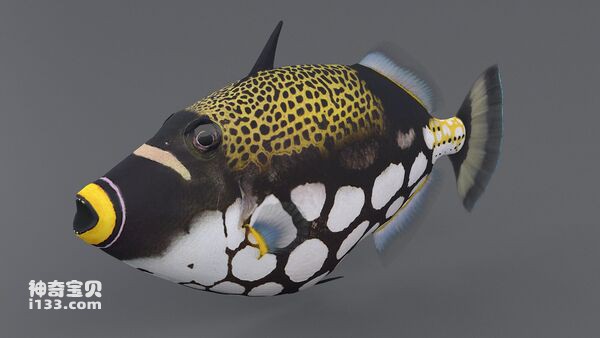 2024062720056432.jpg 4.jpg