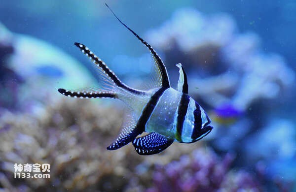 2024062720283171.jpg 7.jpg