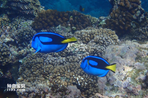 2024062720516134.jpg 1010.jpg