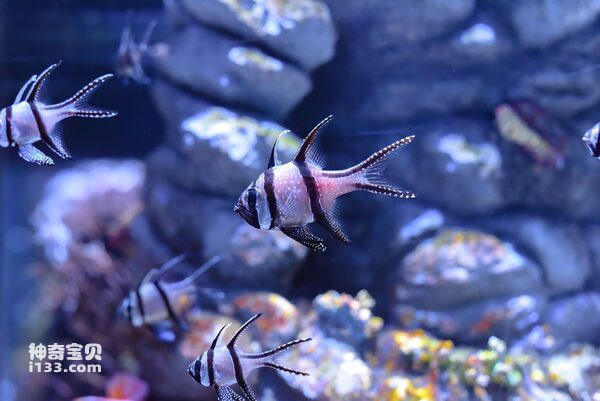 2024062724283968.jpg 77.jpg