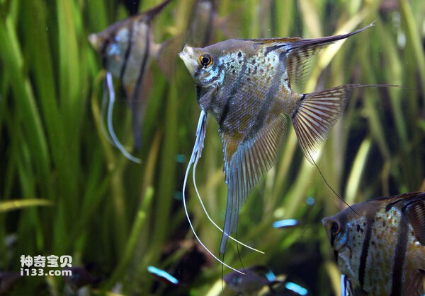 2024062728142232.jpg 11.jpg