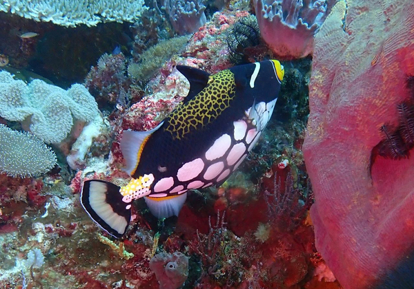 2024062740227416.jpeg 44.jpeg