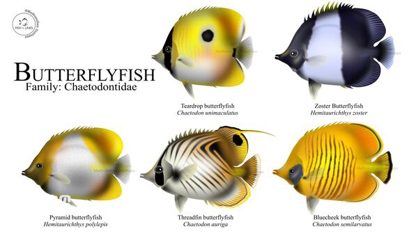 2024062774124932.jpg 6.jpg