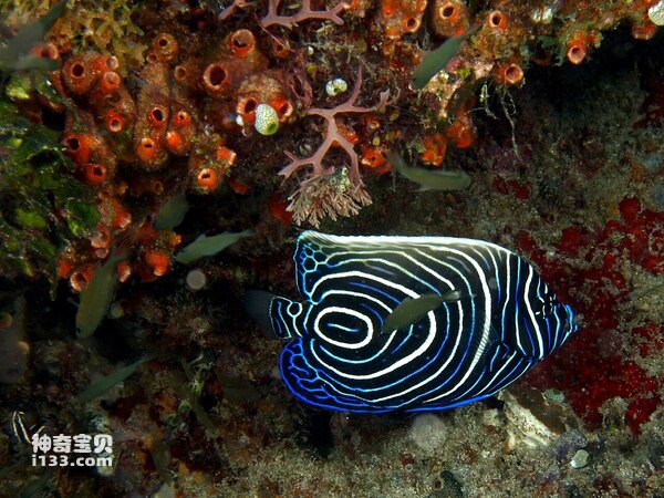 2024062776920437.jpg 88.jpg