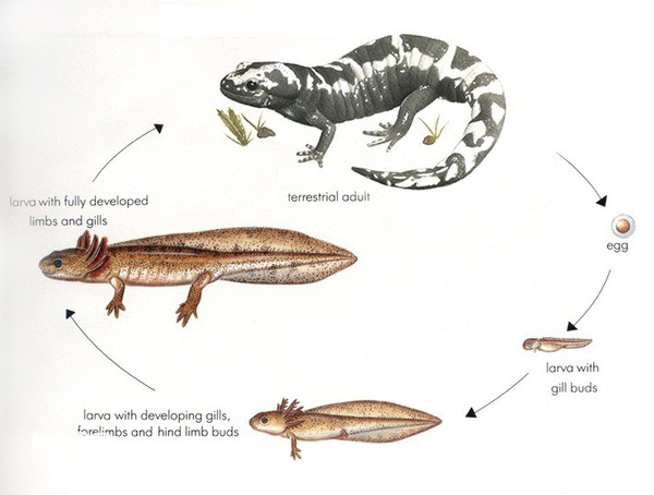 2024070315580324.jpg 4.jpg