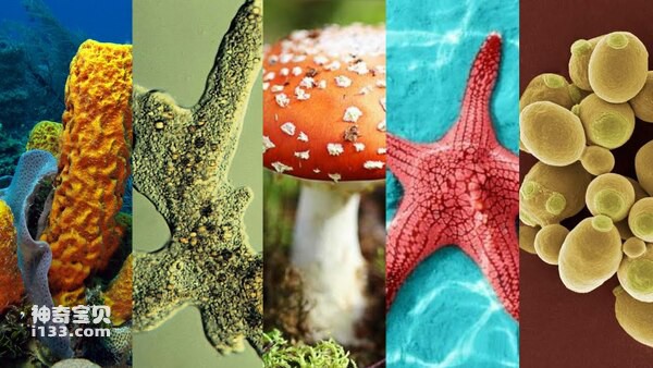 2024070316827837.jpg 112.jpg