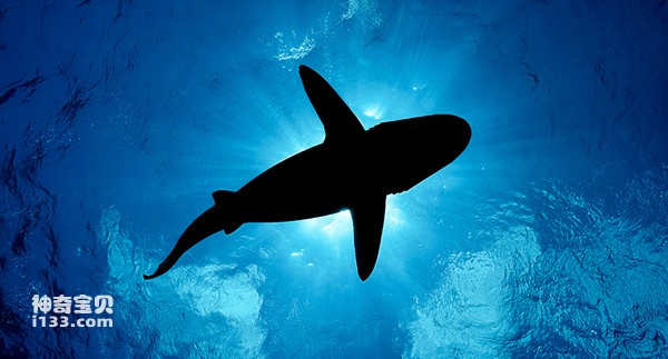 2024070317262905.jpg 6.jpg