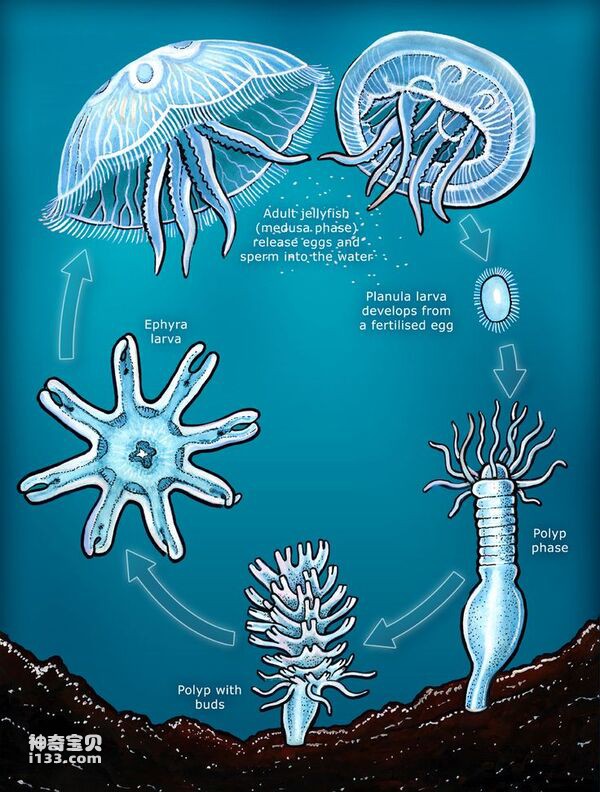 2024070318398410.jpg 3.jpg