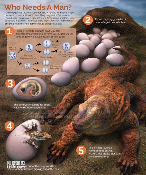 2024070344976230.jpg 5.jpg