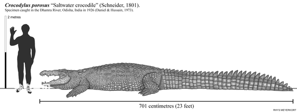 2024070410237494.png 1.png