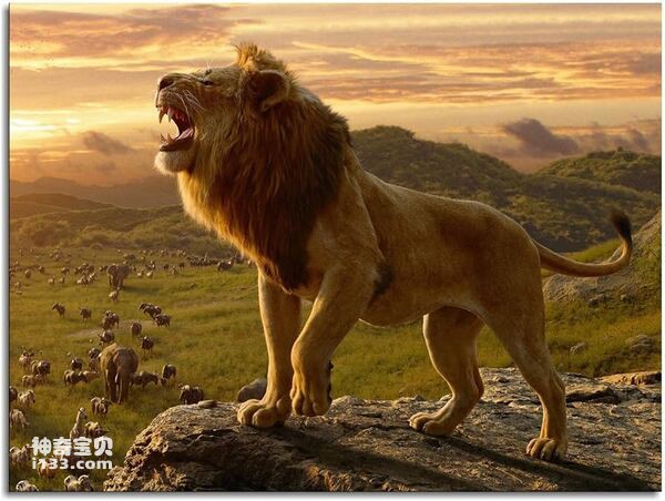 2024070413540252.jpg 7.jpg