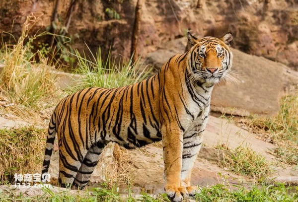 2024070413753487.jpg 8.jpg