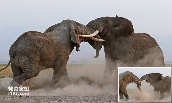 2024070421302820.jpg 2.jpg