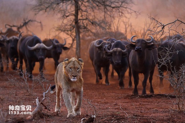 2024070484629651.jpg 6.jpg