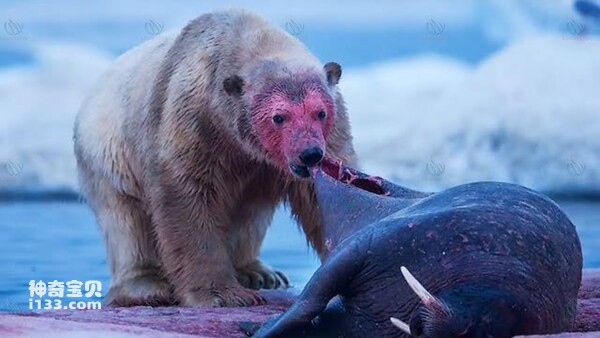 2024070493750457.jpg 5.jpg