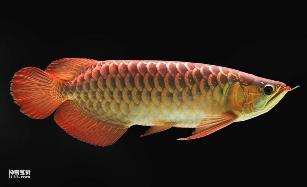 2024071713285027.jpg 2024071713285027.jpg