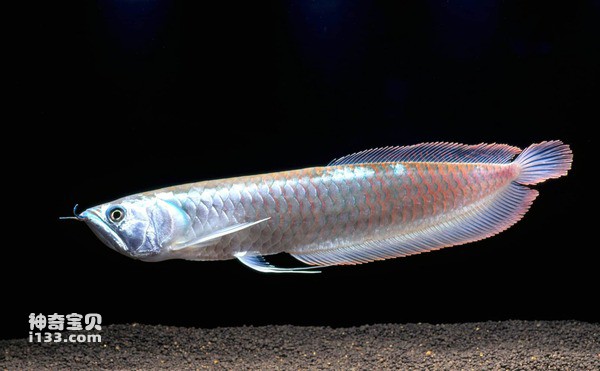 2024071714416979.jpg 8.jpg