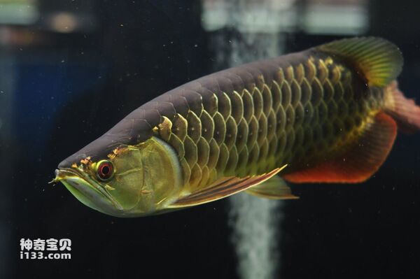 2024071720339626.jpg 6.jpg