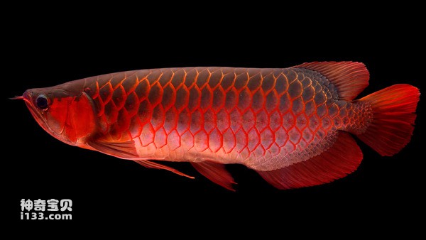 2024071728631278.jpg 1.jpg