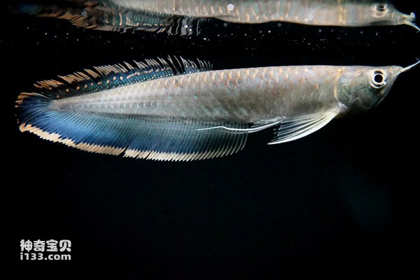 2024071750402109.jpg 10.jpg