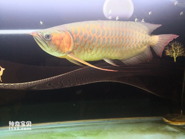 2024071781079929.jpg 3.jpg