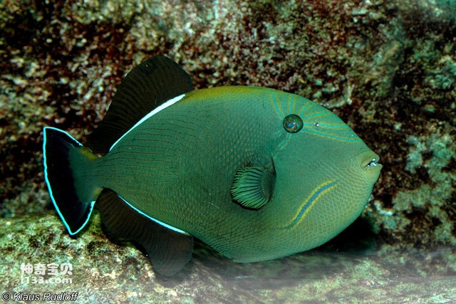 2024071911123355.jpg 10.jpg