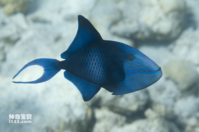 2024071912431264.jpg 7.jpg