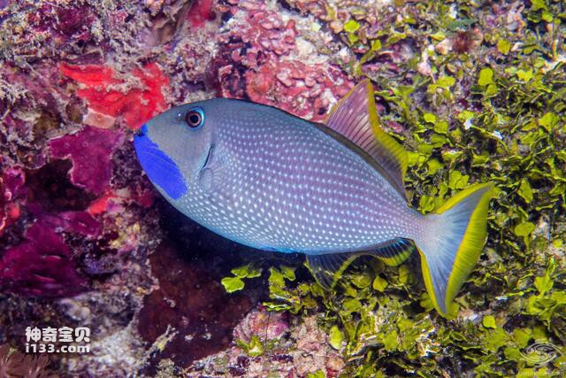 2024071915240780.jpg 4.jpg