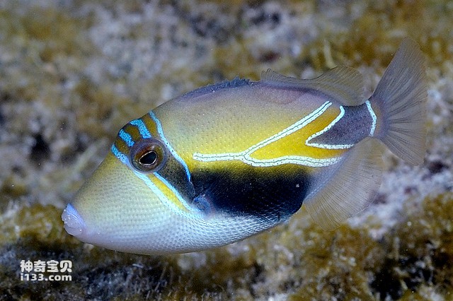 2024071915279242.jpg 5.jpg