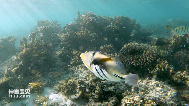 2024071917413756.jpg 22.jpg