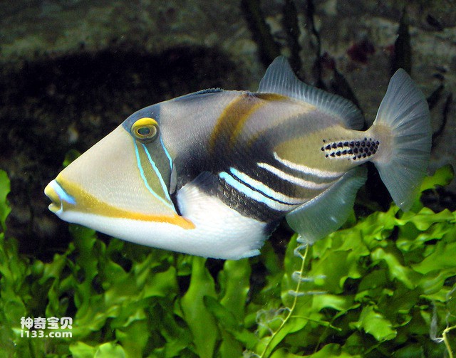 2024071919860250.jpg 2.jpg