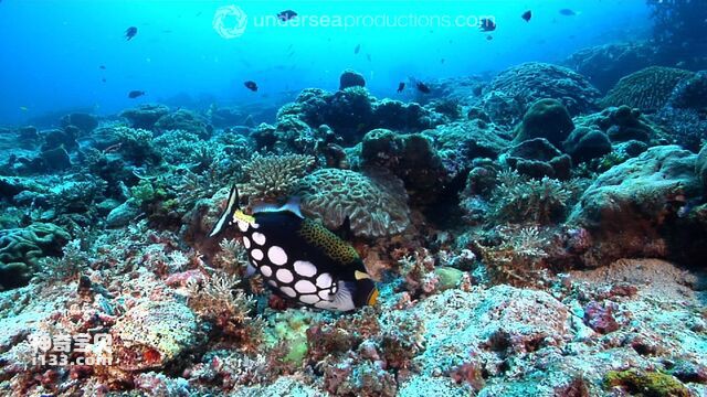 2024071920043128.jpg 11.jpg