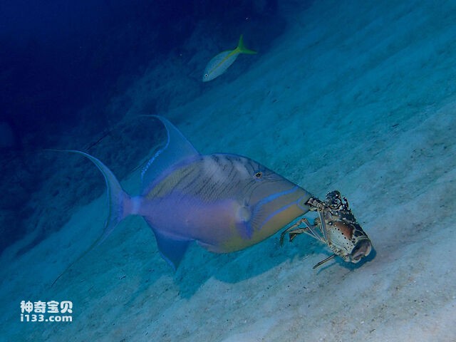 2024071920851534.jpg 33.jpg