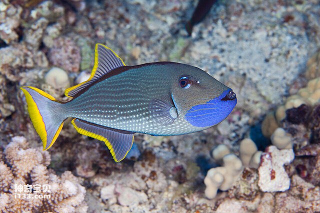 2024071921952667.jpg 44.jpg