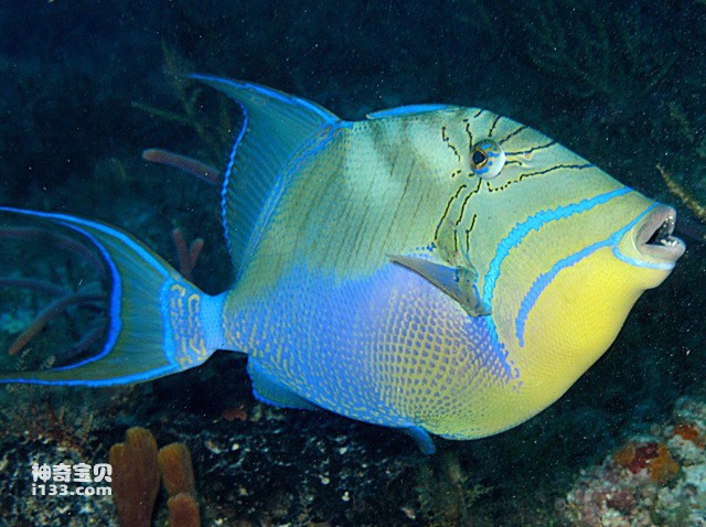 2024071928001564.jpg 3.jpg