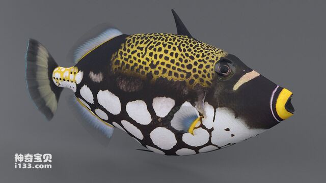 2024071952703361.jpg 1.jpg